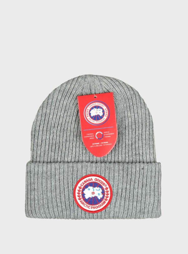 Beanie Arctic Disc