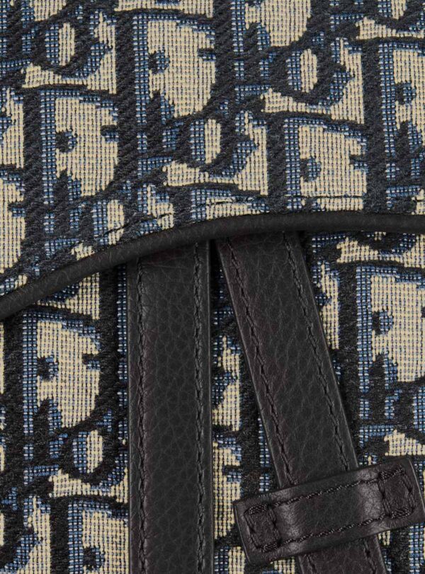 Bag Saddle CD Monogram Canvas