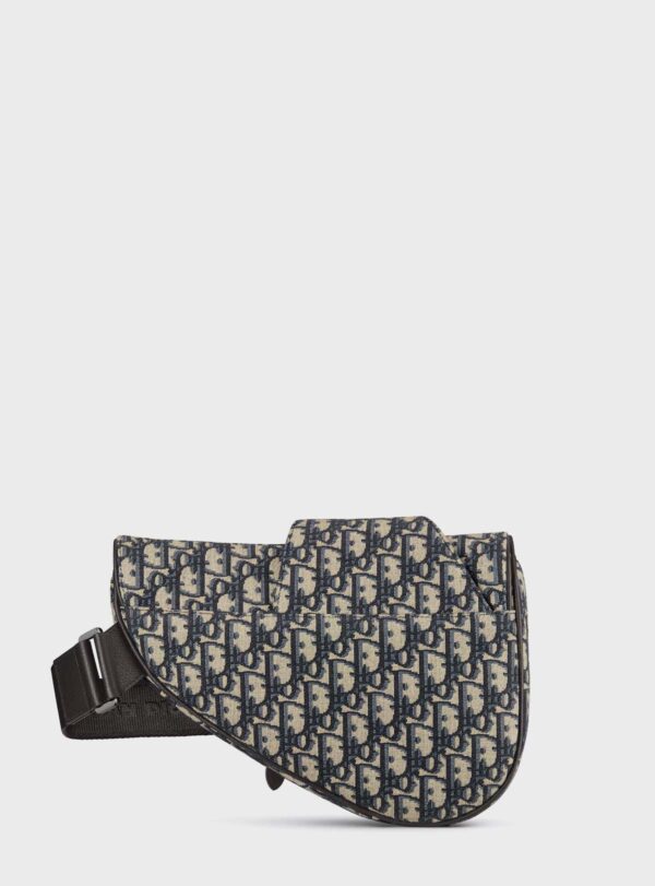 Bag Saddle CD Monogram Canvas