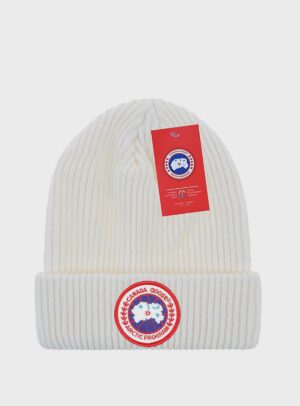 Beanie Arctic Disc