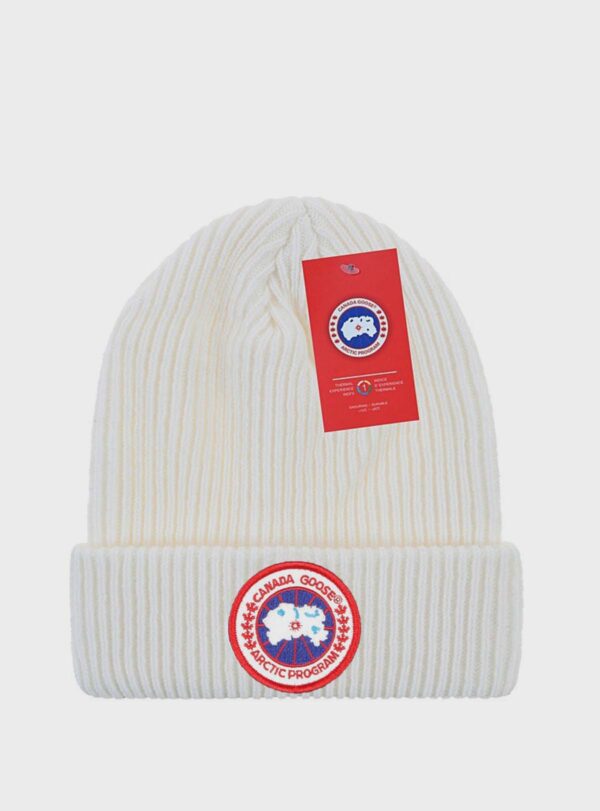 Beanie Arctic Disc