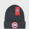 Beanie Arctic Disc