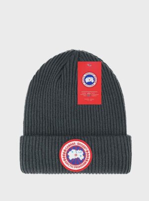 Beanie Arctic Disc