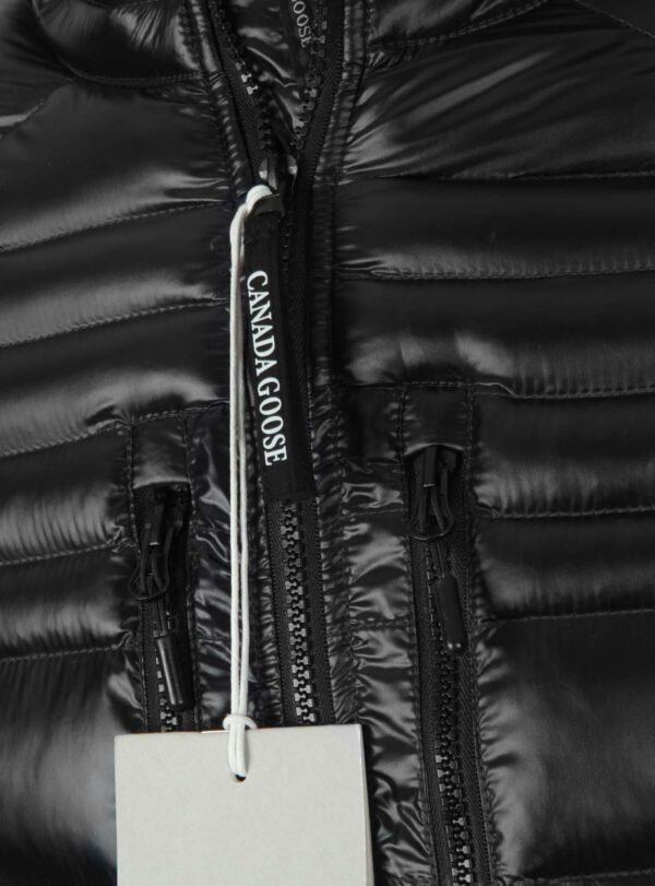 Jacket Hybridge Lite Padded