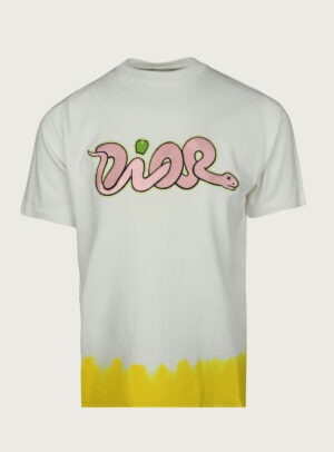 T-Shirt Dior x Kaws