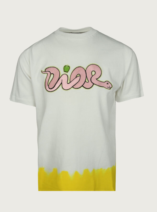 T-Shirt Dior x Kaws