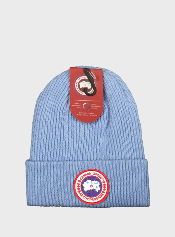 Beanie Arctic Disc