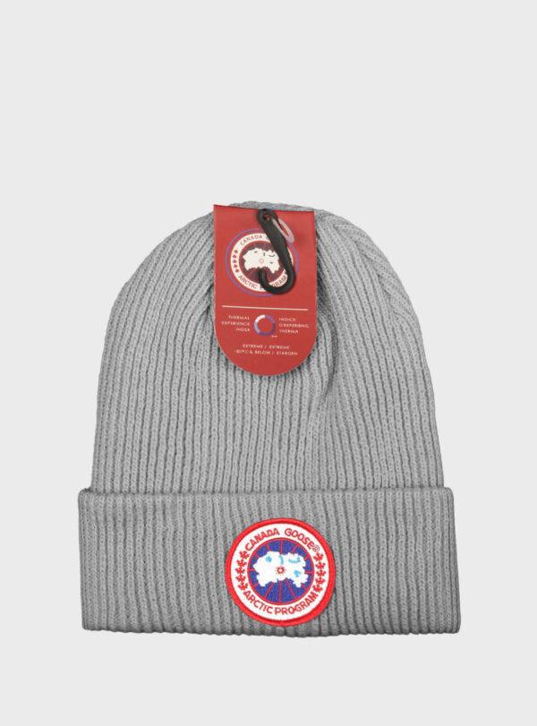 Beanie Arctic Disc