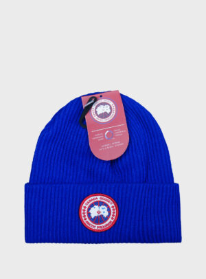 Beanie Arctic Disc