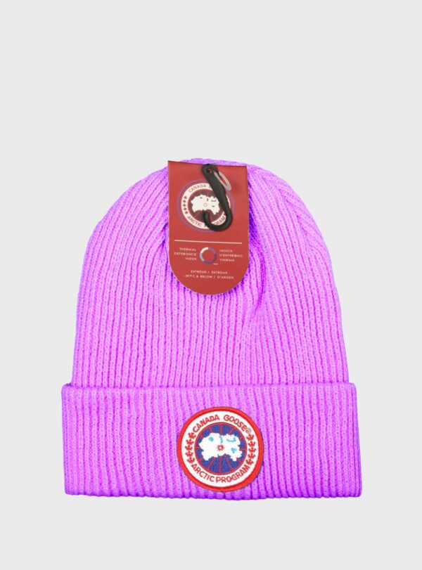 Beanie Arctic Disc Purple