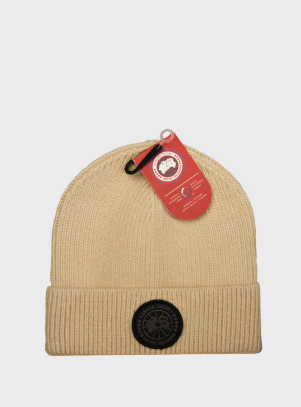 Beanie Arctic Disc