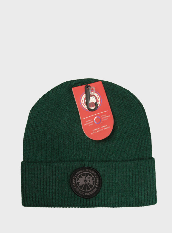 Beanie Arctic Disc