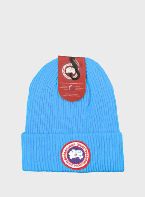 Beanie Arctic Disc